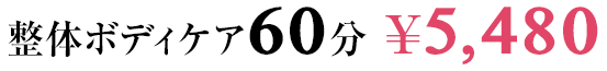 整体ボディケア60分 \5,480